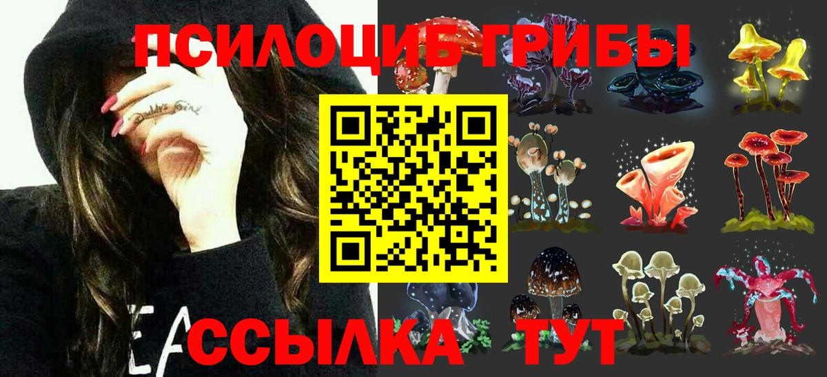 Галлюциногенные грибы MAGIC MUSHROOMS  Вход с VPN  Галлюциногенные грибы Cubensis  купить наркотик  Нижнеудинск 